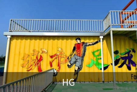 了解HG