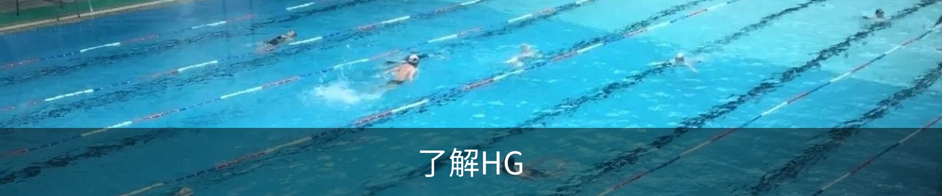 了解HG